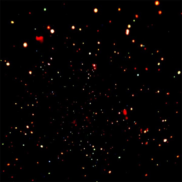 Chandra X-ray deep field north