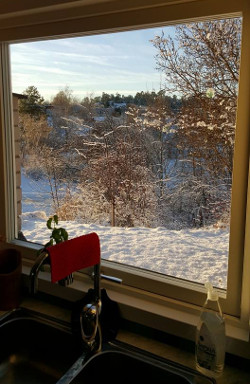 Our kitchen window