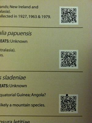 QR codes bring you to the Birlife International database entry for that bird.