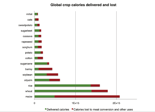 Figure 2. Calorie delivery and losses from major crops. Calories delivered are shown in green (this includes plant and animal calories) and calories that are lost to meat and dairy conversion as well as biofuels and other uses are shown in red.