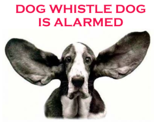 Dog_Whistle_Dog_Is_Alarmed