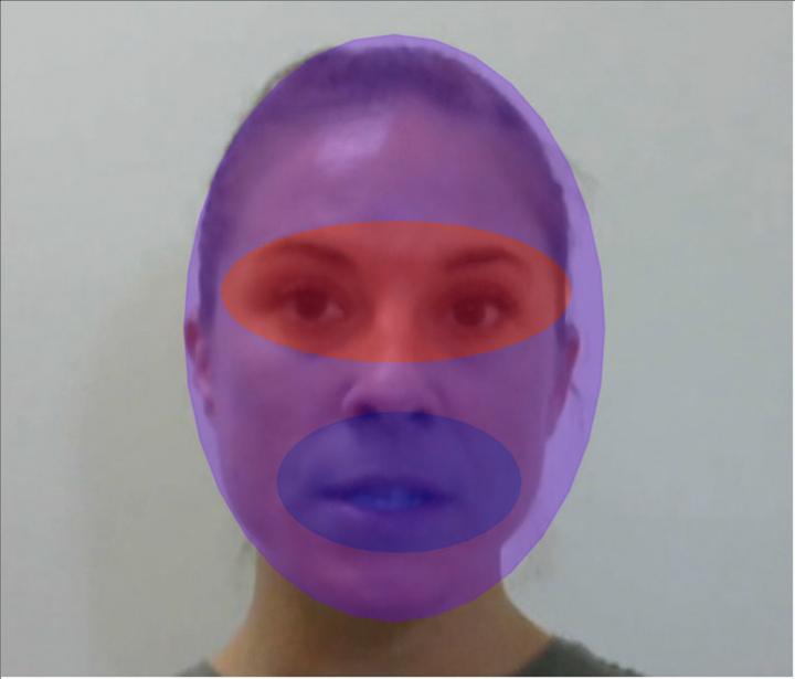 Three areas of interest for fixation analyses: full face (purple), eyes (red) and mouth (blue). Credit:  Florida Atlantic University