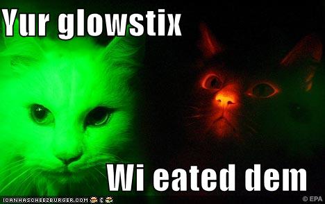 Glow in the dark cats