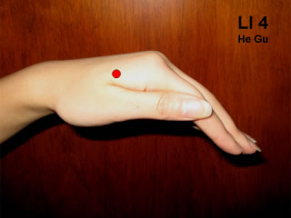 LI4 acupuncture point