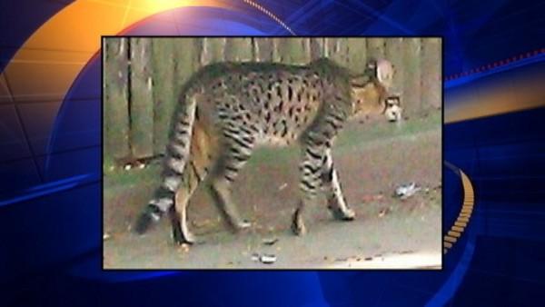 Image from: Myfoxdetroit.com