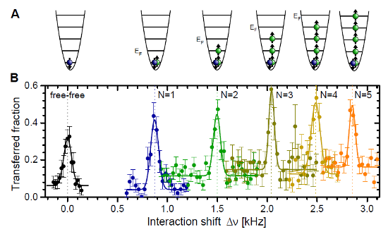 Part of Fig. 2 from the arxiv version of the paper by Wenz et al.