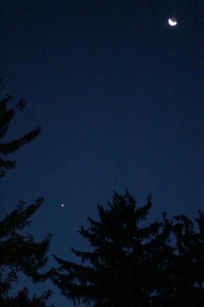 The Moon and Venus from the back yard of Chateau Steelypips