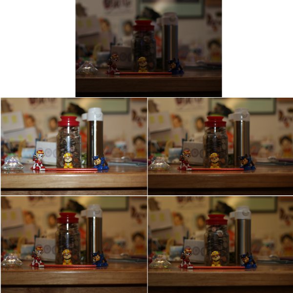 Composite image showing various flash settings. The top is the intentionally underexposed case with no flash. Top left is the direct flash, bottom left direct flash with the diffuser. Top right is indirect flash at a 45 degree angle, bottom right is indirect flash straight up.