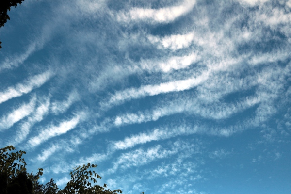 Gravity wave clouds above our house.