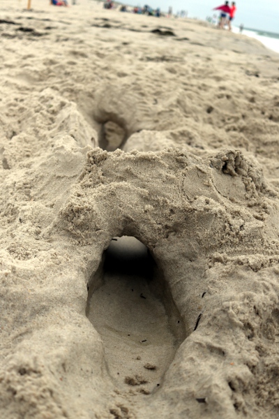 The tunnel in the sand that the kids spent a long time constructing.