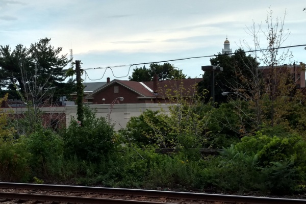 Loops in the power line behind the Schenectady Amtrak station look like glasses.