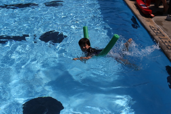 The Pip swimming with a noodle at the Niskayuna town pool.