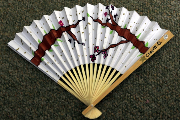 A fan decorated by SteelyKid.