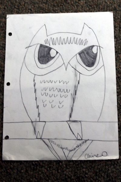 Awesome owl drawing by SteelyKid.