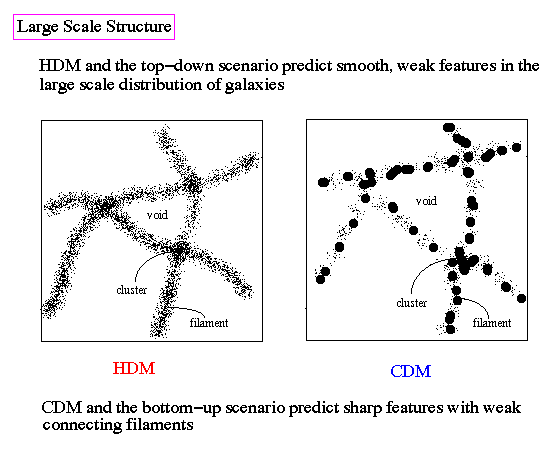 large_scale_structure