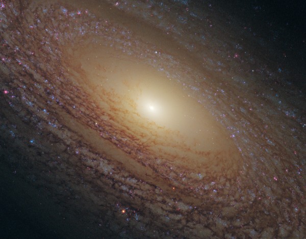 NGC 2841 via Hubble