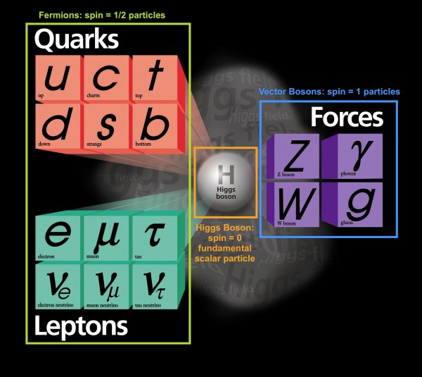 Standard Model Particles