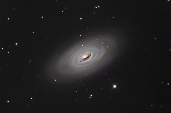Image credit: S. Reilly at Dogwood Ridge Observatory, via http://www.astral-imaging.com/M64-Redo-Full.htm.