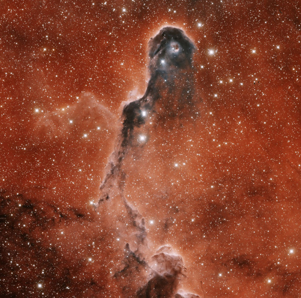 Image credit: Kitt Peak National Observatory, Kitt Peak Arizona, T.A. Rector and H. Schweiker (WIYM and NOAO/AURA/NSF), of the Elephant’s Trunk nebula: the cover of Coloring The Universe. 