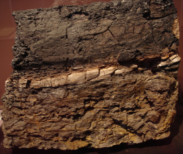 Image credit: photograph by Eurico Zimbres, of a rock from Wyoming, now located in the San Diego Natural History Museum.