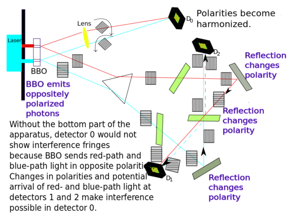 A schematic to explain the polarizations in the double slit quantum eraser experiment of Kim et al. 2007. Image credit: Wikimedia Commons user Patrick Edwin Moran under a c.c.a.-by-s.a. 3.0 license.