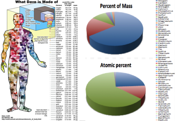 The composition of the human body, by atomic number and by mass. Images credit: Ed Uthman, M.D., via http://web2.airmail.net/uthman/ (L); Wikimedia Commons user Zhaocarol (R), under c.c.a.-s.a.-3.0.