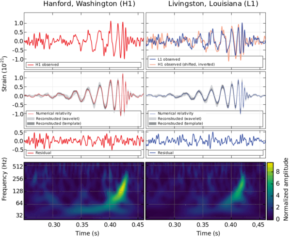The inspiral and merger of the first pair of black holes ever directly observed. Image credit: B. P. Abbott et al. (LIGO Scientific Collaboration and Virgo Collaboration).