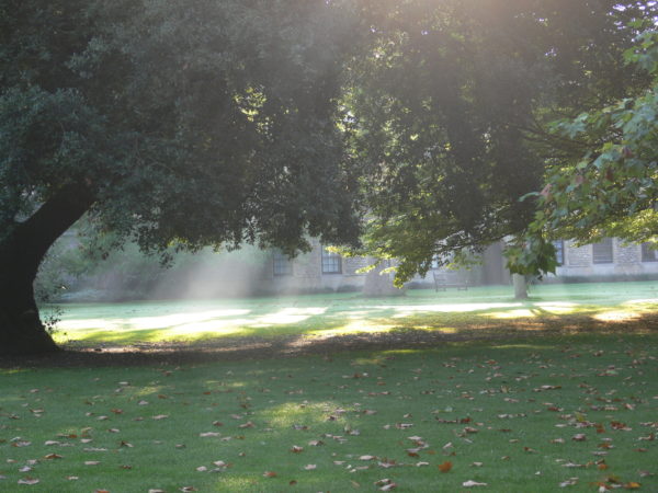 Sunbeams shining through the trees at Oxford, by Wikimedia Commons user Remi Mathis, under a c.c.a.-by-s.a.-3.0 license.