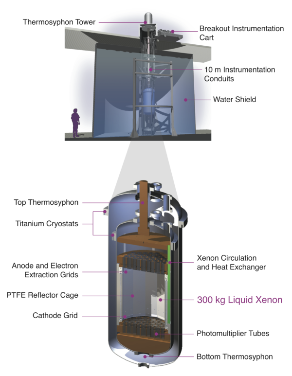 A diagram of the LUX detector. Image credit: LUX Collaboration, diagram by David Taylor, James White and Carlos Faham.