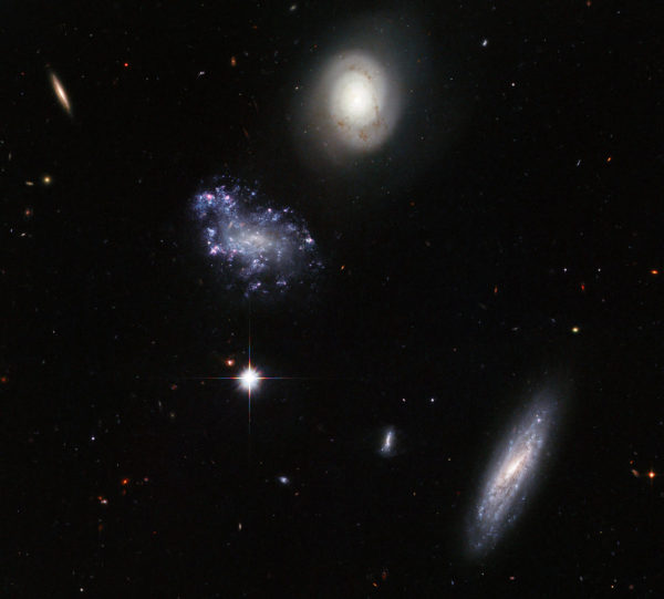 The different shapes, structures and morphologies of some of the galaxies in Hickson Compact Group 59 show evidence for a wide variety of stars, plus gas, plasma and dust as well. Image credit: ESA/Hubble and NASA.