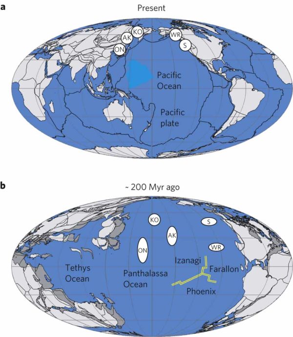 The Earth today vs. the Earth a long time ago. Image credit: D. G. van der Meer,T. H. Torsvik,W. Spakman,D. J. J. van Hinsbergen& M. L. Amaru, Nature Geoscience 5, 215–219 (2012).