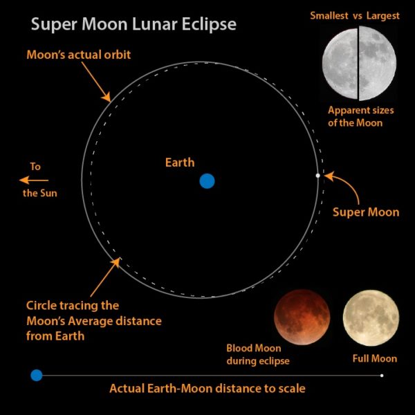 The Moon's orbit isn't a perfect circle, but an ellipse. When perigee coincides (or nearly coincides) with fullness, we achieve a Supermoon. Image credit: Brian Koberlein.