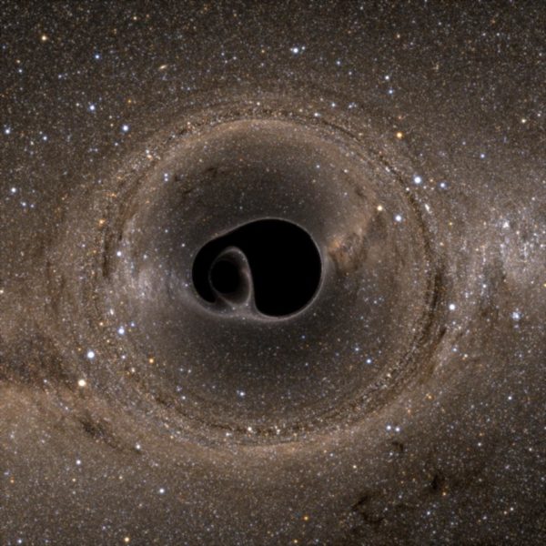 Two merging black holes, particularly in the final stages of merger, emit tremendous amounts of gravitational waves. Image Credit: SXS, the Simulating eXtreme Spacetimes (SXS) project (http://www.black-holes.org).