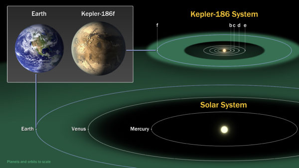 Kepler 186f is one of a great many candidates for a very Earth-like planet. Image credit: NASA/Ames/JPL-Caltech.