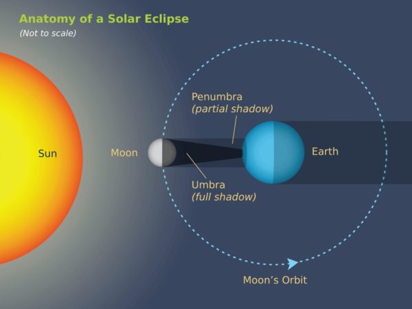 An illustration of the Sun-Moon-Earth configuration setting up a total solar eclipse. The Earth's non-flatness means that the Moon's shadow gets elongated when it's close to the edge of the Earth. Image credit: Starry Night education software.