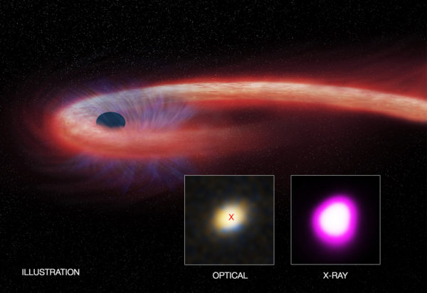 The longest-lasting tidal disruption event from a distant supermassive black hole has now surpassed a decade in duration. Image credit: X-ray: NASA/CXC/UNH/D.Lin et al, Optical: CFHT, Illustration: NASA/CXC/M.Weiss.