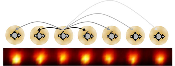 Ten yttrium atoms with entangled electron spins, as used to first create a time crystal. Image credit: Chris Monroe/University of Maryland.