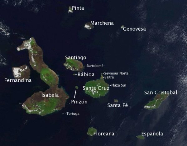 Satellite photo of the Galapagos islands overlayed with the Spanish names of the visible main islands. The islands themselves are, at most, only a few million years old. Image credit: Jacques Descloitres, MODIS Rapid Response Project at NASA/GSFC.