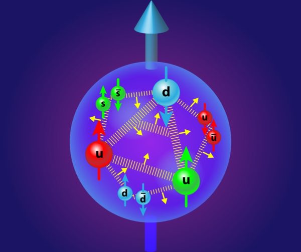 The three valence quarks of a proton contribute to its spin, but so do the gluons, sea quarks and antiquarks, and orbital angular momentum as well. Image credit: APS/Alan Stonebraker.