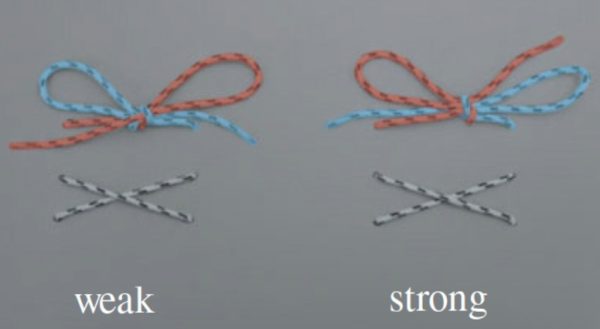The difference between a weak (granny) knot and a strong (reef) knot has everything to do with which side the loops and loose ends lie on, relative to one another. Image credit: O. O'Reilly, C. Daily-Diamond and C. Gregg/UC Berkeley.