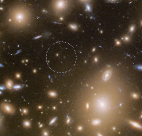 Despite the presence of large, elliptical galaxies, the location where the mass density is greatest, indicated by the dotted circle, corresponds to no known massive galaxy or other structure based in normal matter. The only explanation for this is the presence of an invisible source of mass: dark matter. Image credit: NASA, ESA/Hubble, HST Frontier Fields / E. Siegel (annotation).