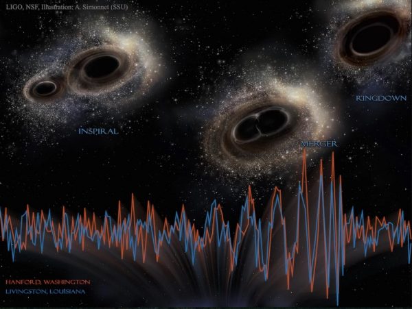 The 30-ish solar mass binary black holes first observed by LIGO are likely from the merger of direct collapse black holes. But a new publication challenges the analysis of the LIGO collaboration, and the very existence of these mergers. Image credit: LIGO, NSF, A. Simonnet (SSU).