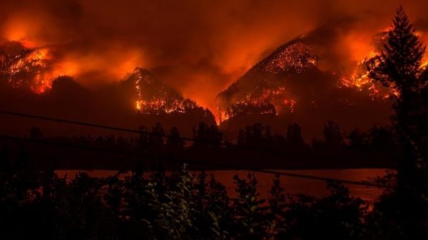 The Eagle Creek fire has now spread to engulf over 10,000 acres, has caused the evacuations of thousands of families, and millions of dollars in property damage. The terrain itself will take decades to recover. Image credit: Tristan Fortsch/KATU-TV via AP.
